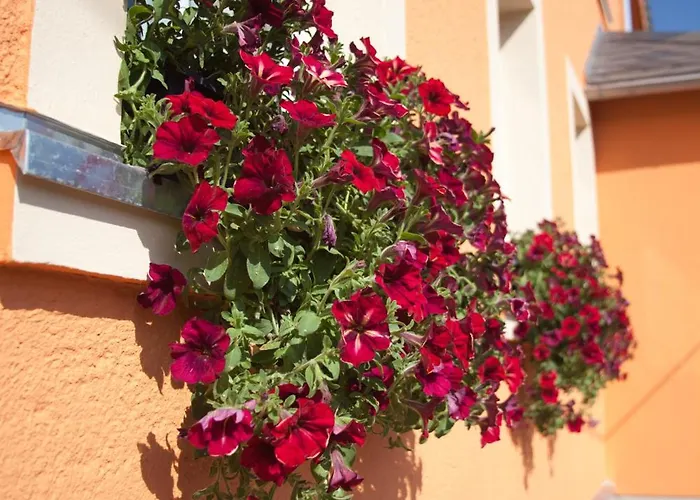 Wolfsgrunder Festhof * Dorfchemnitz